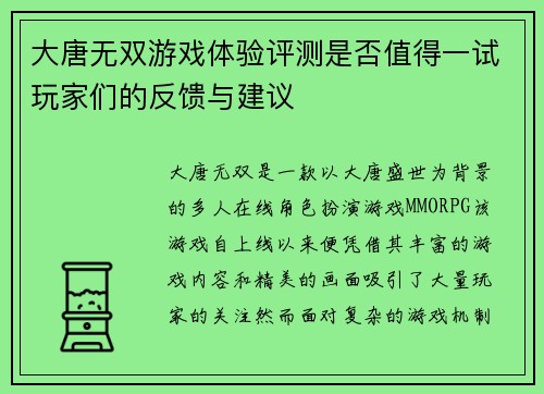 大唐无双游戏体验评测是否值得一试玩家们的反馈与建议